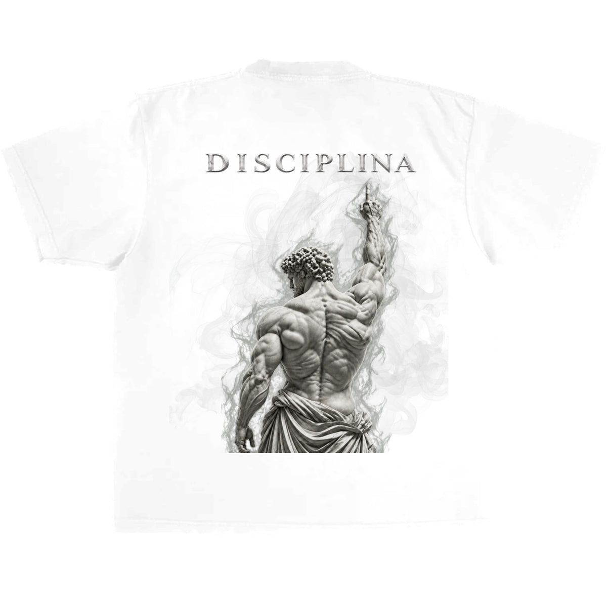 DISCIPLINA BW